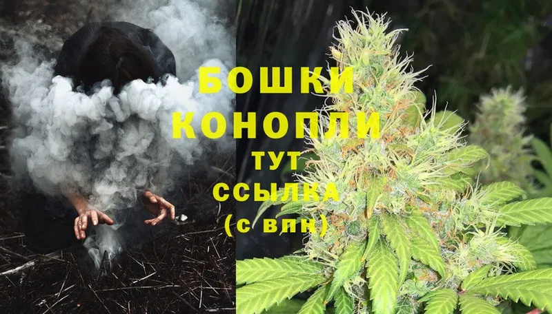 МАРИХУАНА OG Kush  даркнет сайт  Козьмодемьянск 